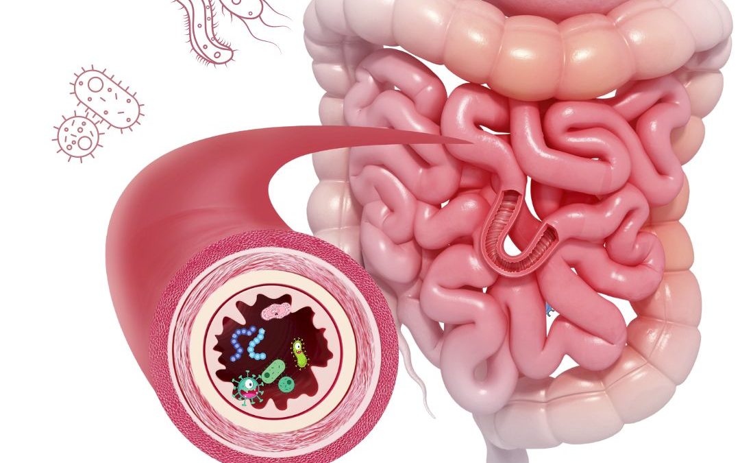 Curso : Fundamentos y Tratamiento integral del SIBO