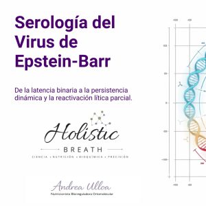 Clase Epstein-Barr más allá de la latencia y replicación