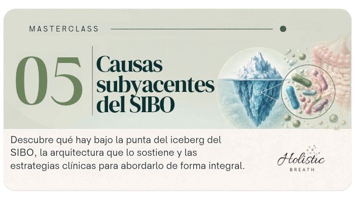 Causas subyacentes del sibo